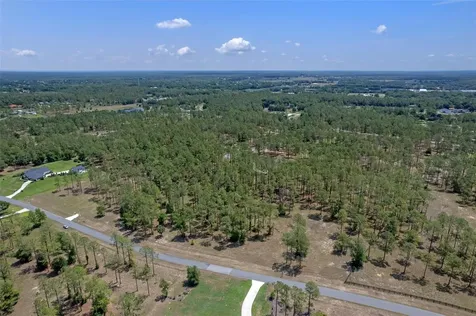 35408 Pinegate Trail Eustis FL 32736
