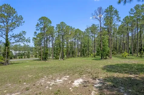 35408 Pinegate Trail Eustis FL 32736