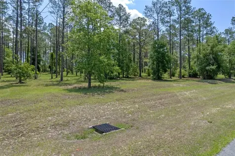 35408 Pinegate Trail Eustis FL 32736