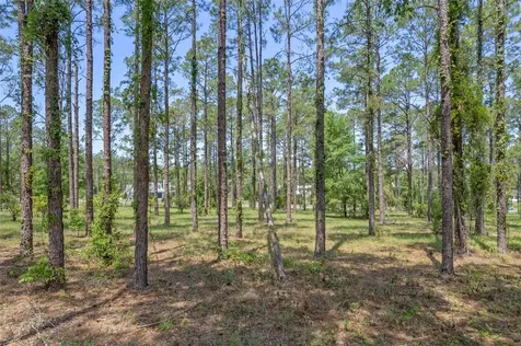 35408 Pinegate Trail Eustis FL 32736