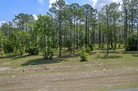 35408 Pinegate Trail Eustis FL 32736