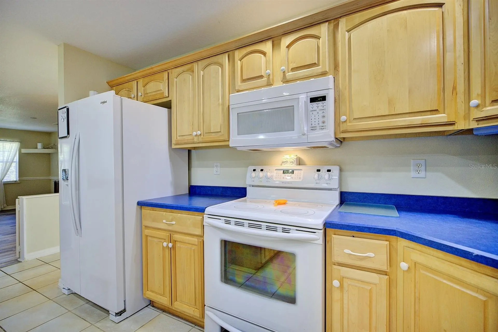 1521 Lancia Avenue Sebring FL 33872