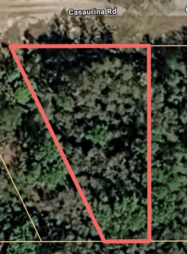 Casaurina Road Lady Lake FL 32159