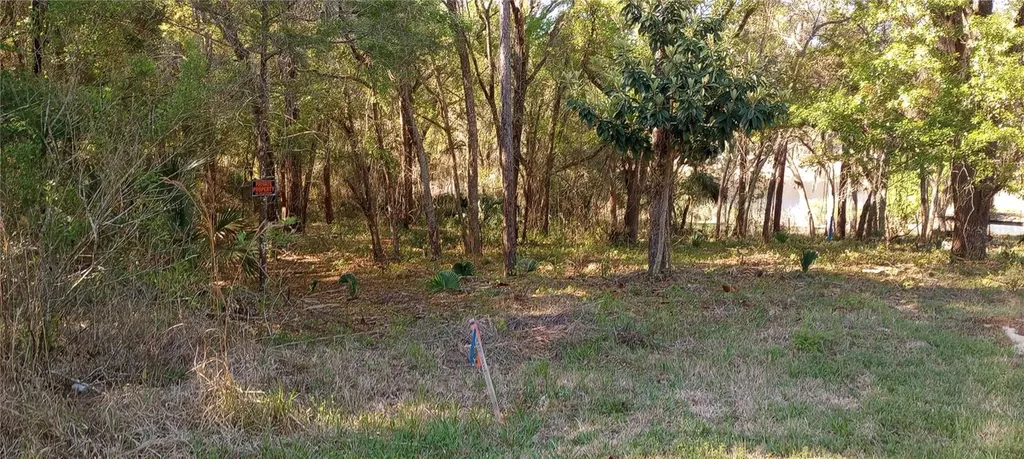 Casaurina Road Lady Lake FL 32159