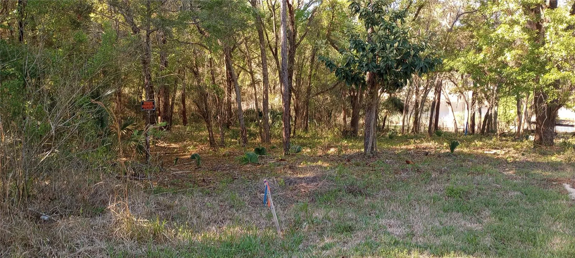Casaurina Road Lady Lake FL 32159
