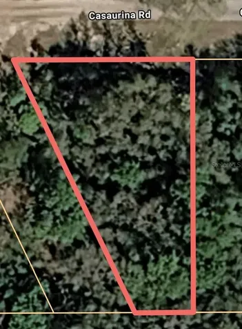 Casaurina Road Lady Lake FL 32159