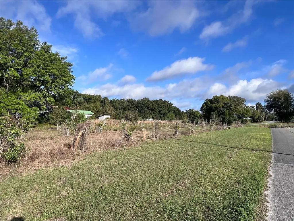 180 E 3rd Avenue Pierson FL 32180