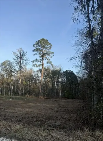 SW 17th Street Road Ocala FL 34481