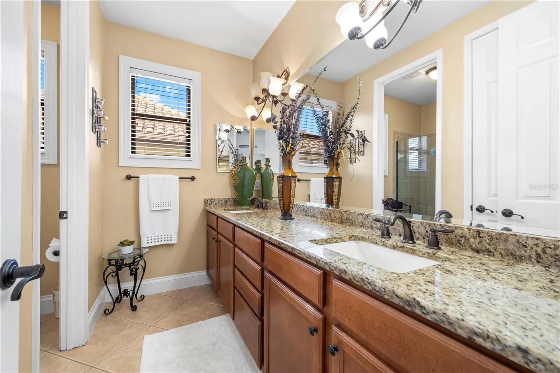 20120 Shady Hill Lane Tampa FL 33647