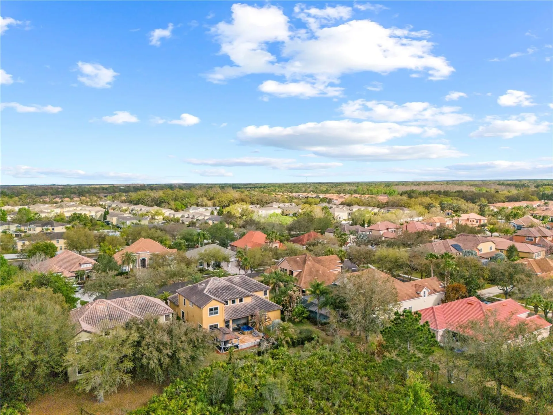 20120 Shady Hill Lane Tampa FL 33647