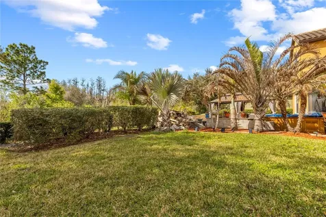 20120 Shady Hill Lane Tampa FL 33647