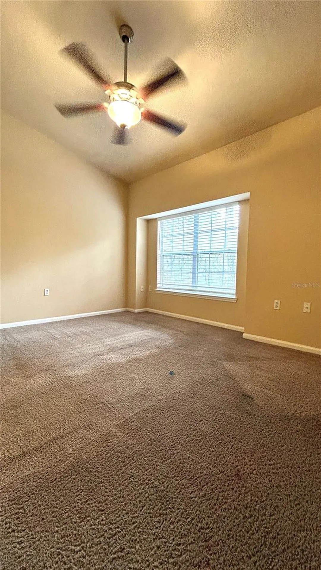 4988 NW 43rd Avenue Gainesville FL 32606