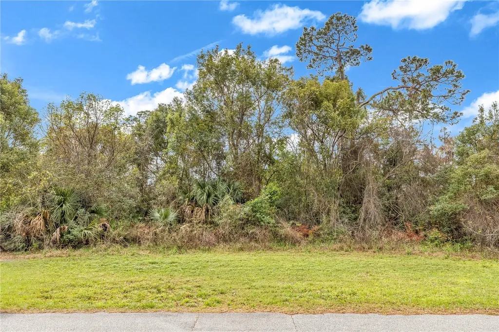 205 Plumosa Road Debary FL 32713