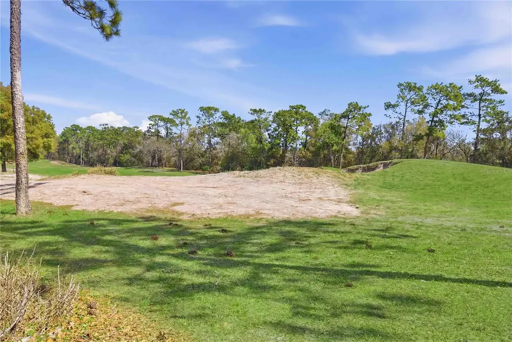 439 Victoria Hills Drive Deland FL 32724