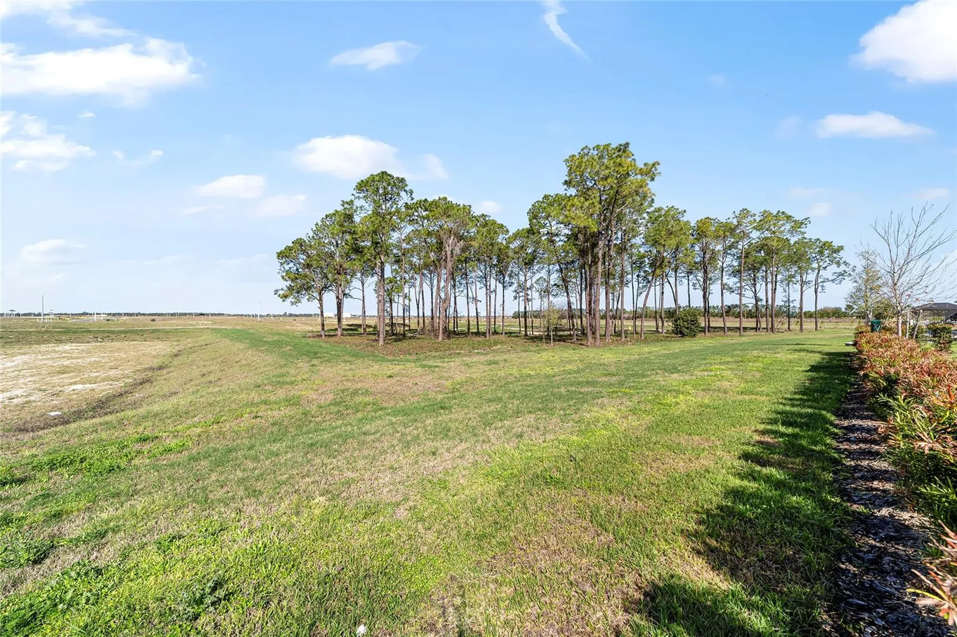 8176 SW 98th Terrace Road Ocala FL 34481