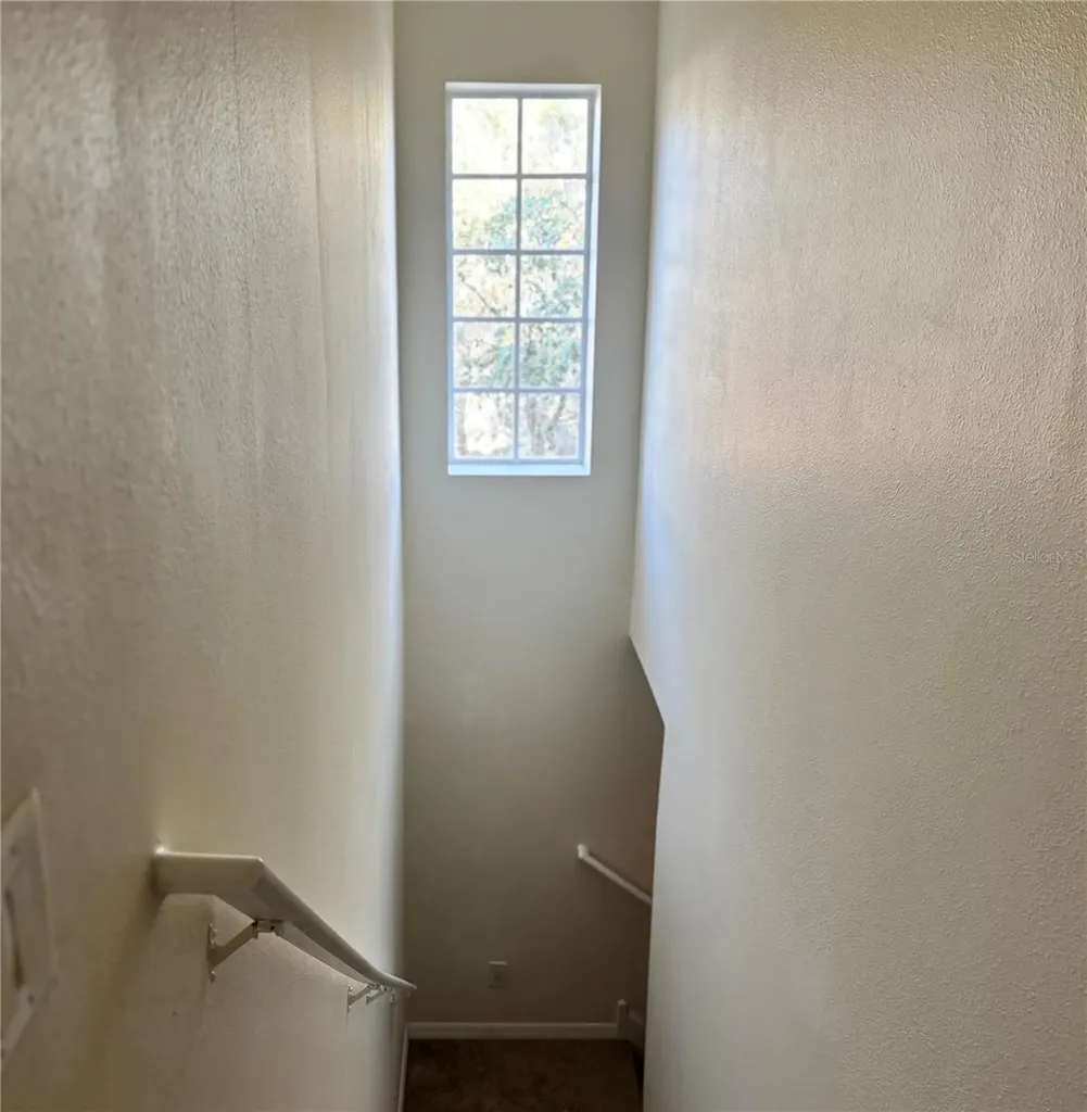 5633 Blackfin Drive New Port Richey FL 34652