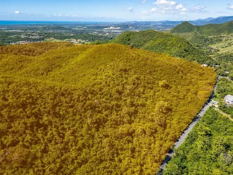 Bo Tijeras Juana Diaz PR 00795
