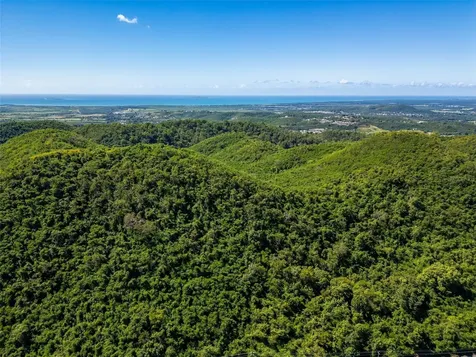 Bo Tijeras Juana Diaz PR 00795