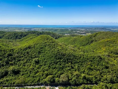 Bo Tijeras Juana Diaz PR 00795