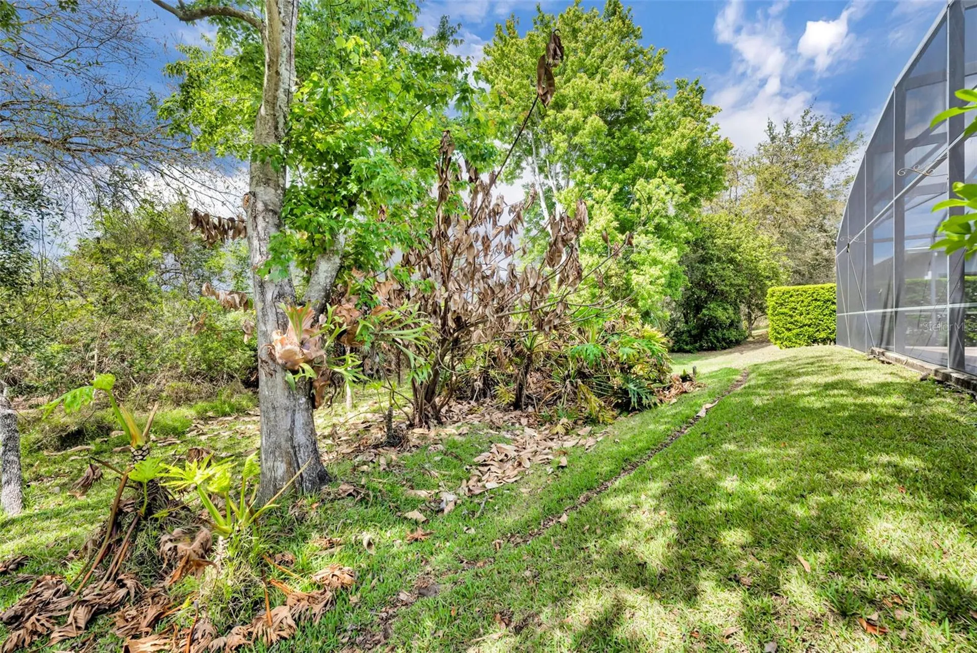 13431 Early Frost Circle Orlando FL 32828