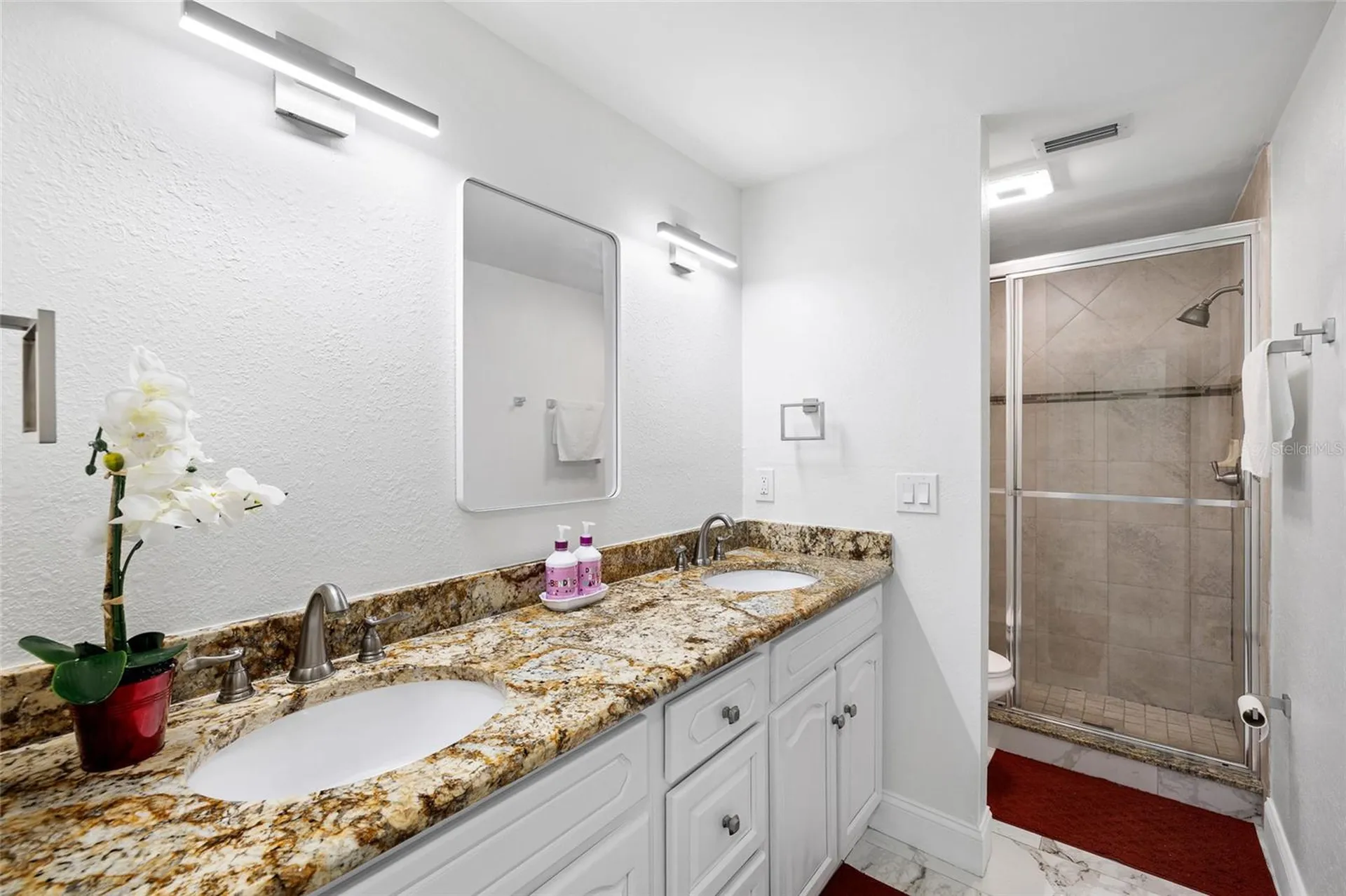8309 Dasa Place Tampa FL 33615