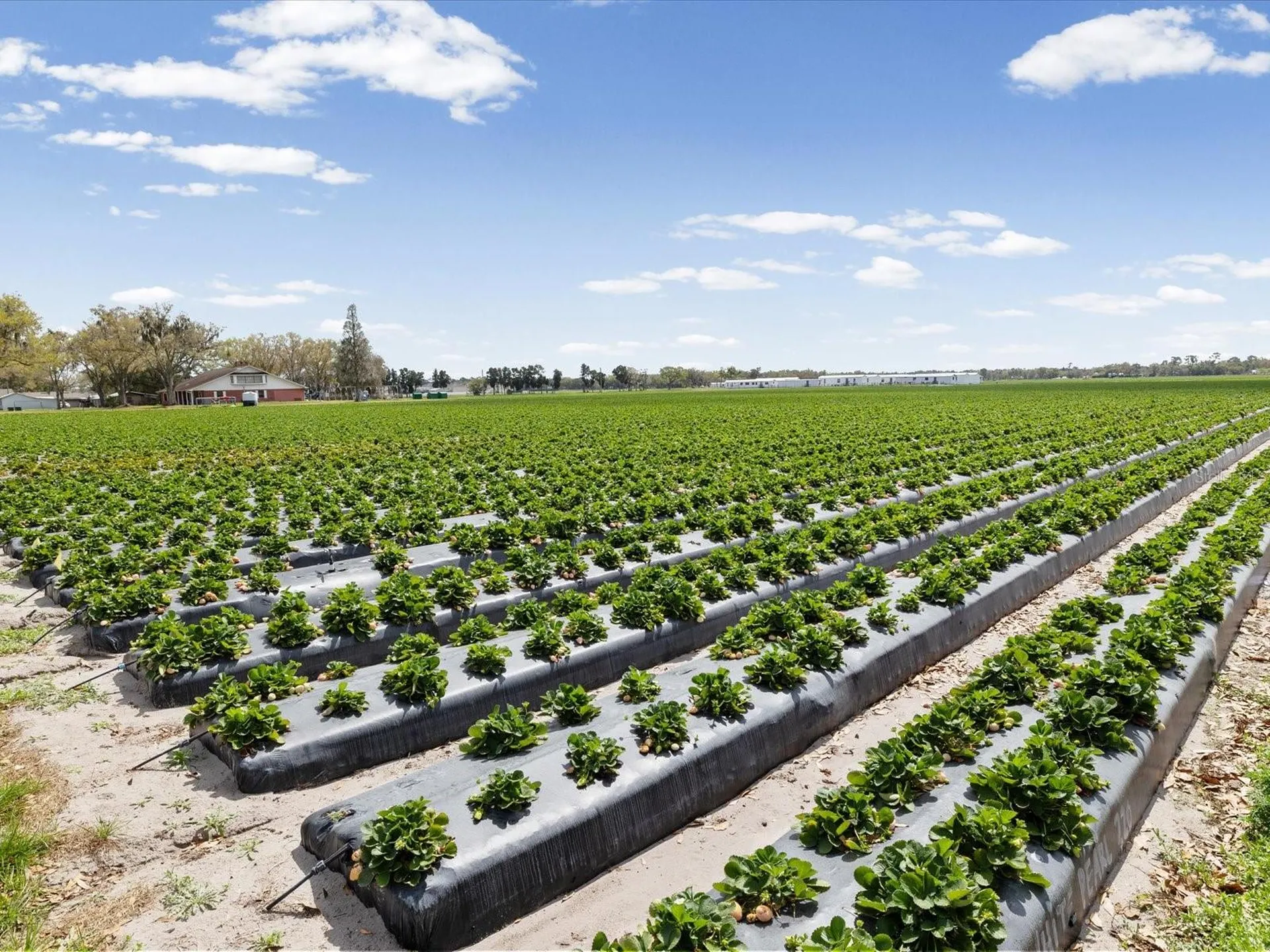 3135 S Northview Road Plant City FL 33566