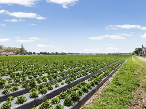 3135 S Northview Road Plant City FL 33566