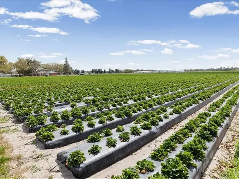 3135 S Northview Road Plant City FL 33566