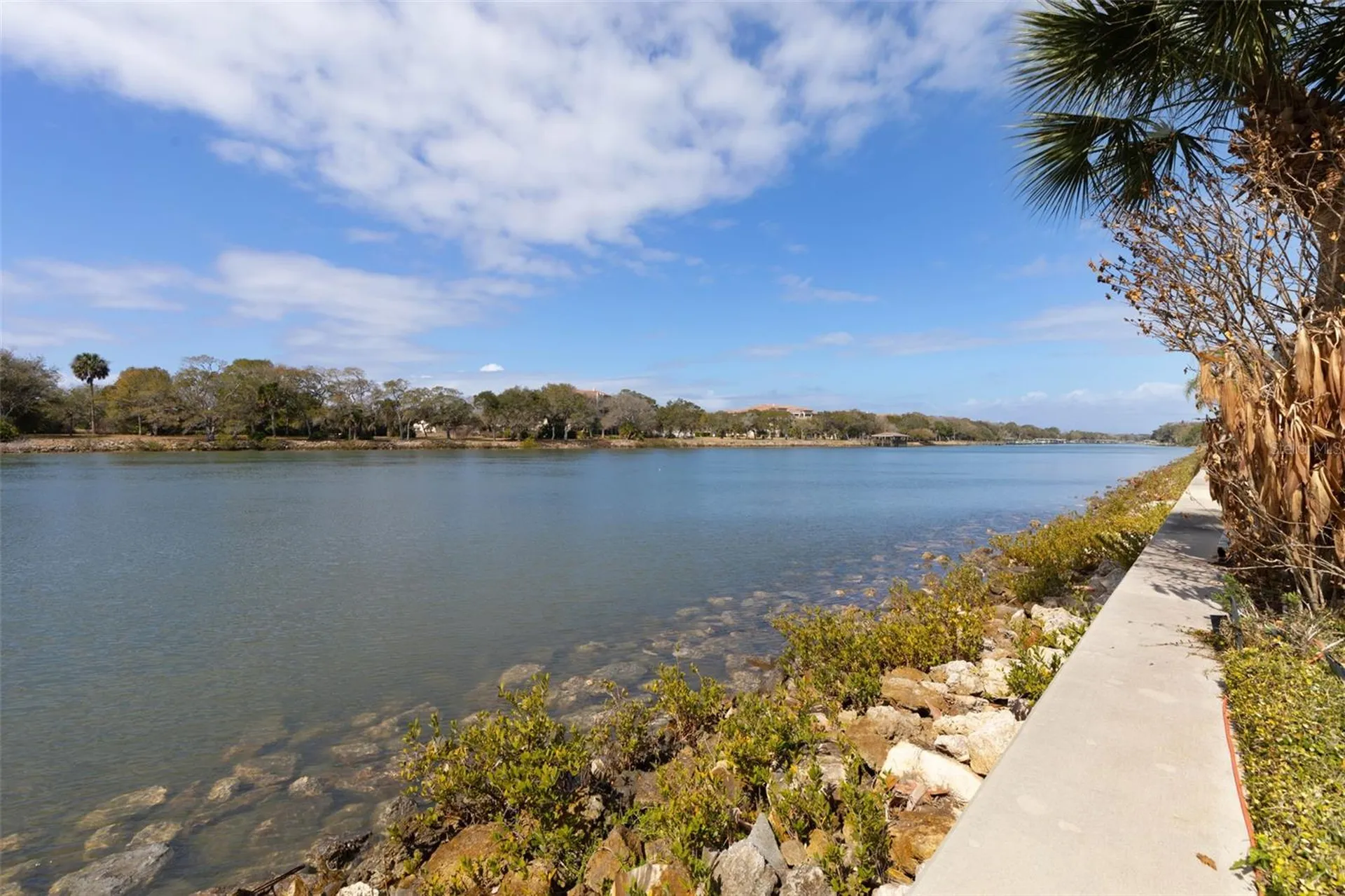 262 Yacht Harbor Drive Palm Coast FL 32137