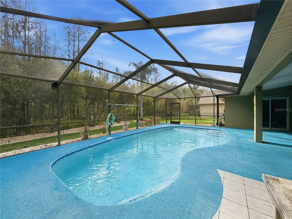 1031 Maravista Drive Trinity FL 34655