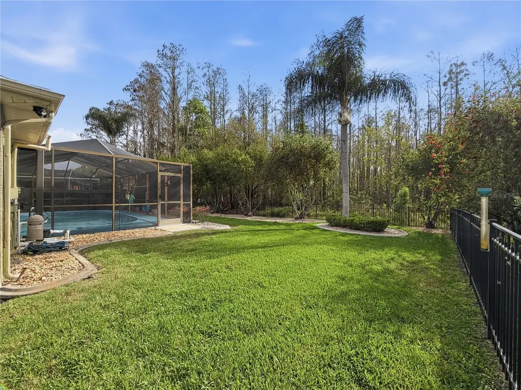 1031 Maravista Drive Trinity FL 34655