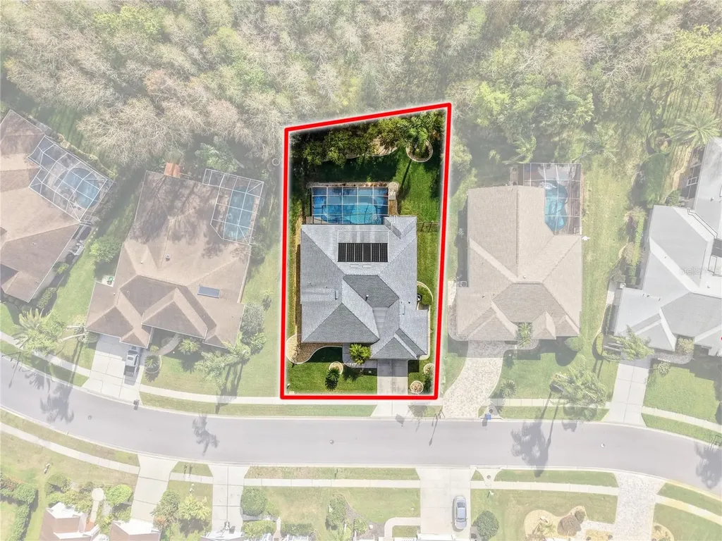 1031 Maravista Drive Trinity FL 34655