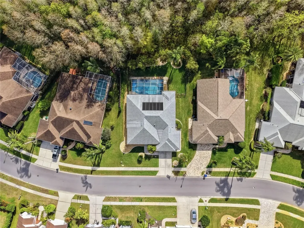 1031 Maravista Drive Trinity FL 34655
