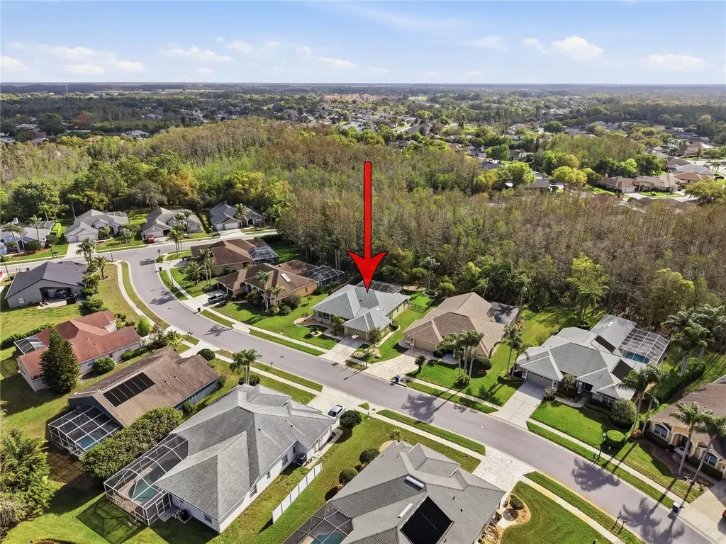 1031 Maravista Drive Trinity FL 34655