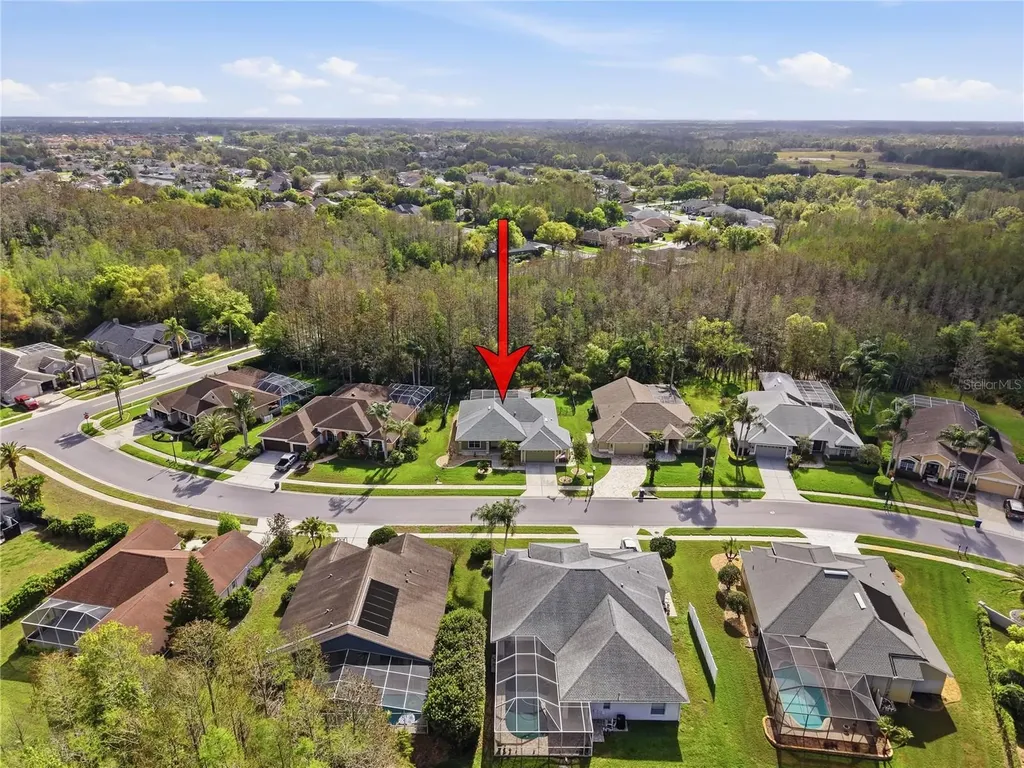 1031 Maravista Drive Trinity FL 34655