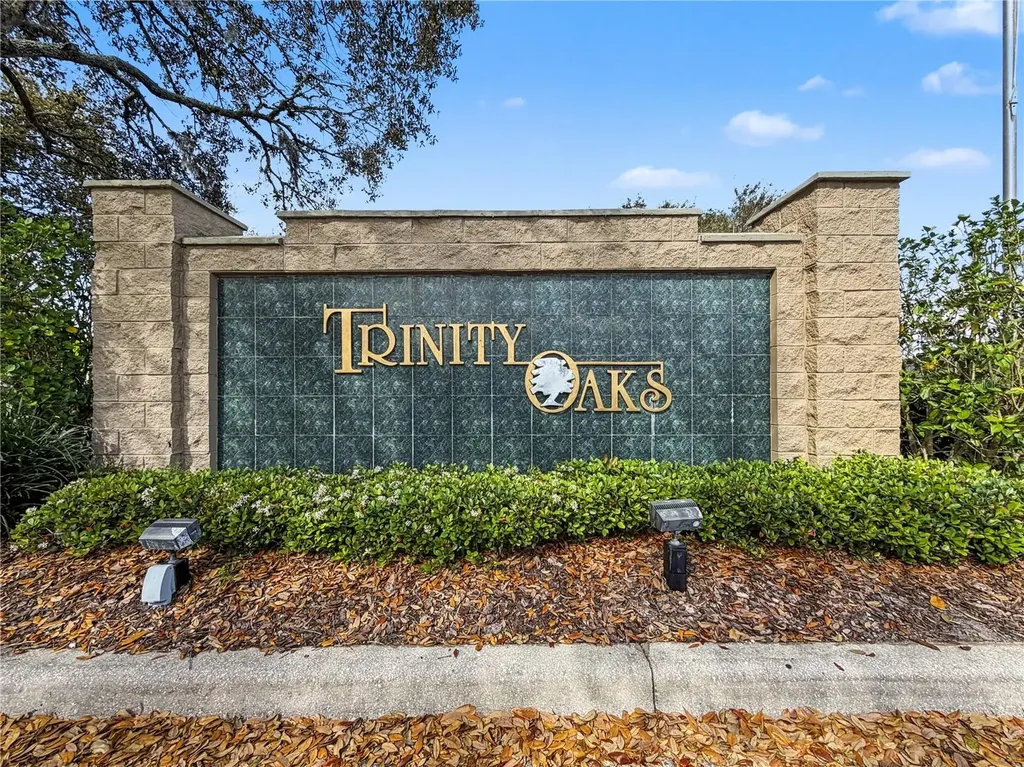 1031 Maravista Drive Trinity FL 34655