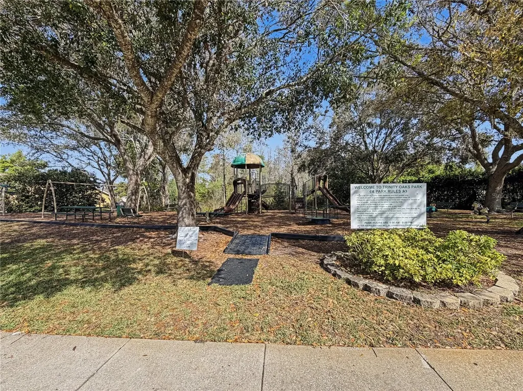 1031 Maravista Drive Trinity FL 34655