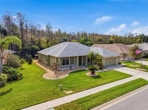 1031 Maravista Drive Trinity FL 34655