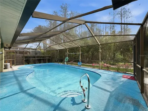 1031 Maravista Drive Trinity FL 34655
