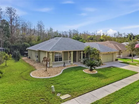 1031 Maravista Drive Trinity FL 34655