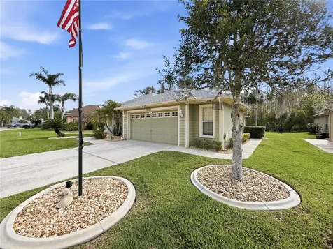1031 Maravista Drive Trinity FL 34655