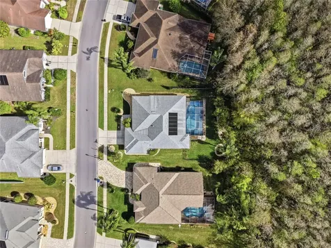 1031 Maravista Drive Trinity FL 34655