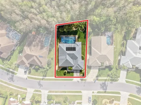 1031 Maravista Drive Trinity FL 34655