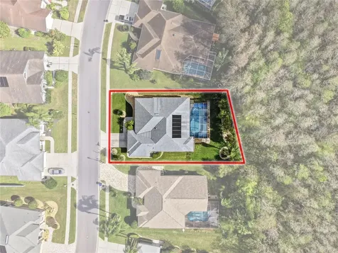 1031 Maravista Drive Trinity FL 34655