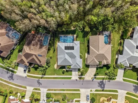 1031 Maravista Drive Trinity FL 34655