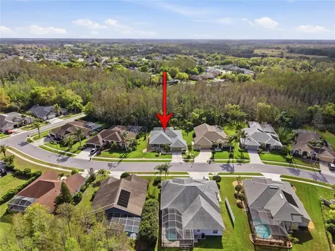 1031 Maravista Drive Trinity FL 34655