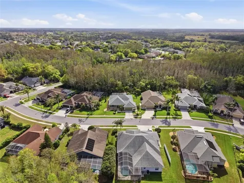 1031 Maravista Drive Trinity FL 34655