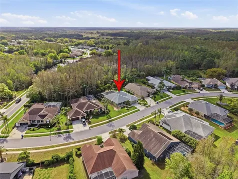 1031 Maravista Drive Trinity FL 34655