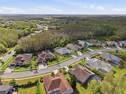 1031 Maravista Drive Trinity FL 34655