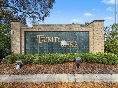 1031 Maravista Drive Trinity FL 34655